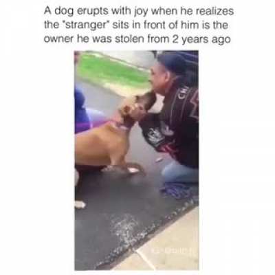 The dog is scared of this stranger at first. Until he realizes it&rsquo;s the human he was stolen from two years ago