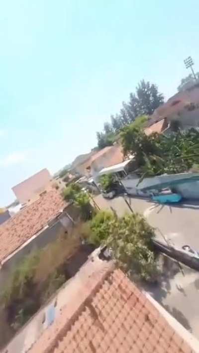 Como &eacute; ver como um p&aacute;ssaro?