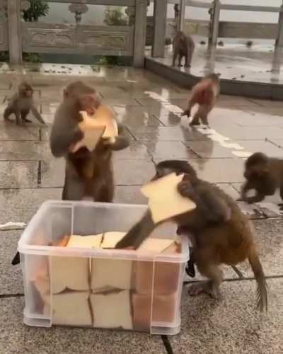 peruanitos recibiendo la comida mensual