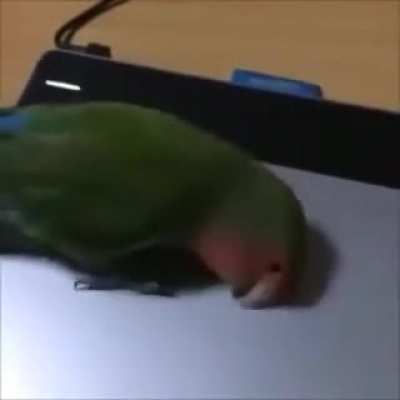 IM FUCKING LOST