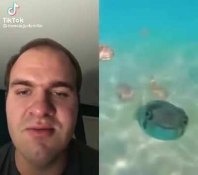 AAAHH