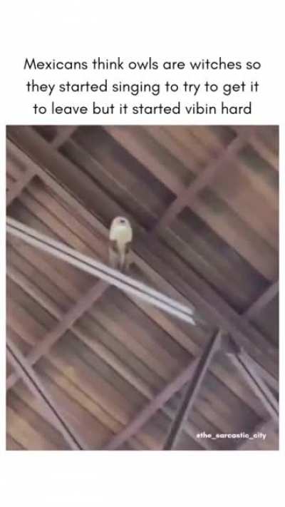 Government Drone Caught Spying