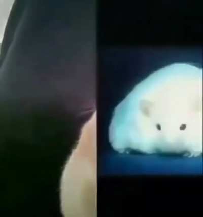 r&auml;t