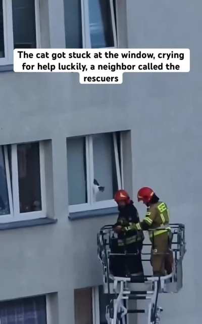 Kindness arrives on time