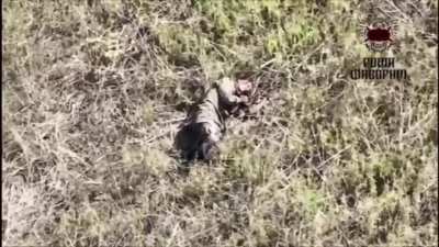 Ukrainian drone unit "Favorite" of the 107th TDF Brigade targets Russian soldiers with dropped grenades