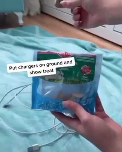 How to stop your bunny from chewing on your cables.