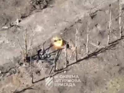 Compilation of drone strikes by Ukraine's 3rd Assault Brigade during the liberation of Avdiivka. Reportedly the heavy image noise (