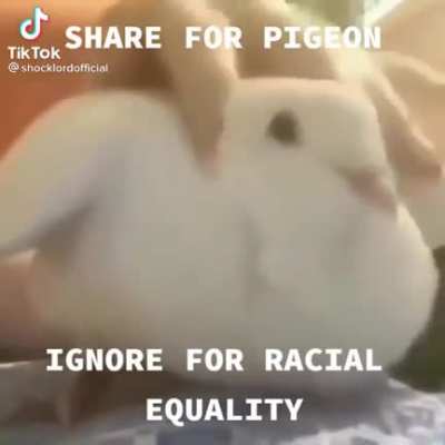 Title