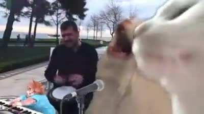 میکس سم 😐