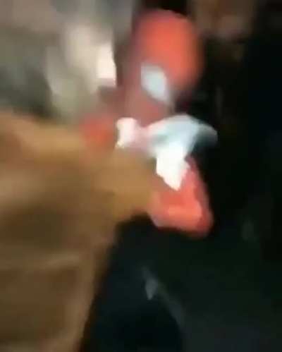 a luta mais &eacute;pica do mundo