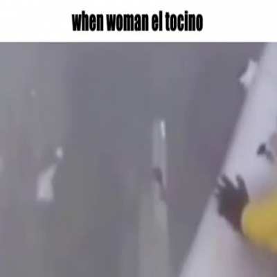 bacon