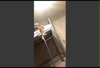 How to go down a ladder