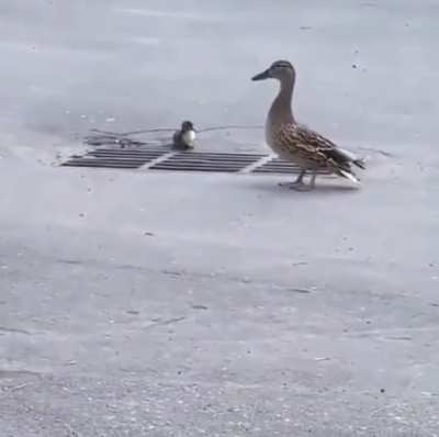Me following my team into our team wipe.