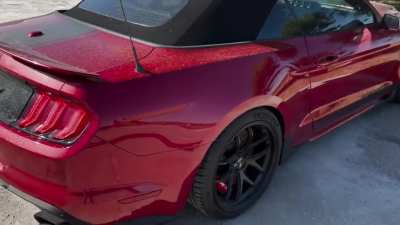 Abandoned Super Snake&hellip;WTF?