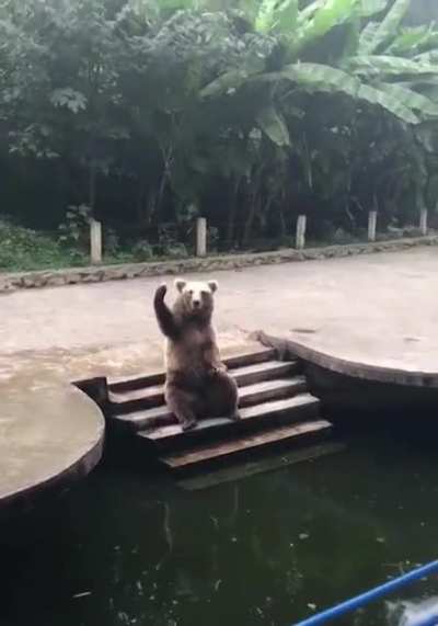 Bro, toss me one!