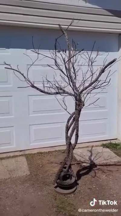 My brother finished growin-...'er... making a tree today.