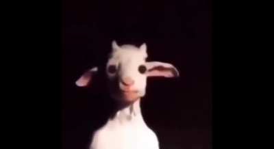 .... &oslash;&middot;&oslash; ̈&ugrave;&scaron;&ugrave;&bdquo;&oslash;&copy; ... &oslash;&pound;&oslash;o&ugrave;&dagger;&ugrave;&scaron;&oslash;&copy; &ugrave;&bdquo;&ugrave;&bdquo;&oslash;&pound;&oslash;&middot;&ugrave; &oslash;&sect;&ugrave;&bdquo; ... &ugrave;&bdquo;&ugrave;&scaron;&oslash; ̈&ugrave;&scaron;&oslash;&sect; Yes that is what the video is called