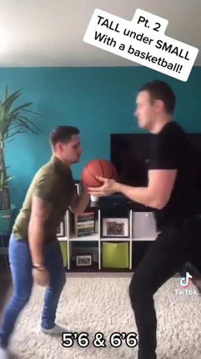 Watch the 🏀! 5'6
