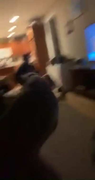 Doggo Freakout