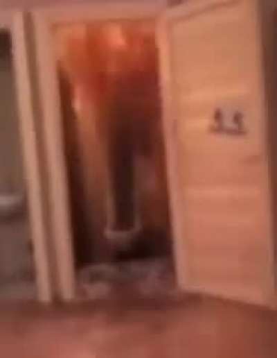 Hot diggity dog