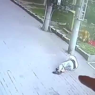 Garip olaylar serisi