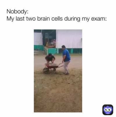 There&rsquo;s no way someone is this dumb, someone is this helpful and someone is filming at the same time