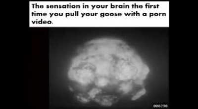 The first time the goose uses its power.