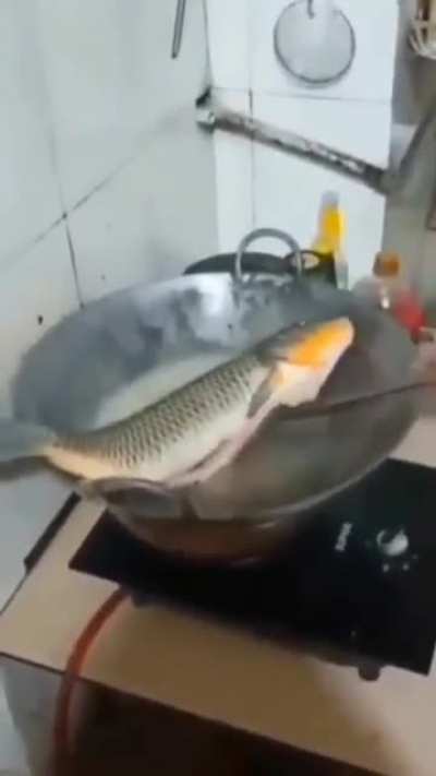 fish