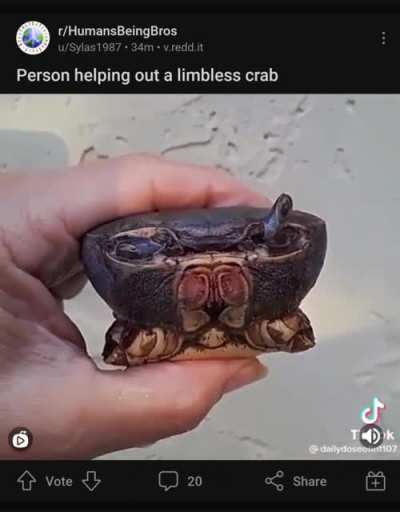 Blursed_crab