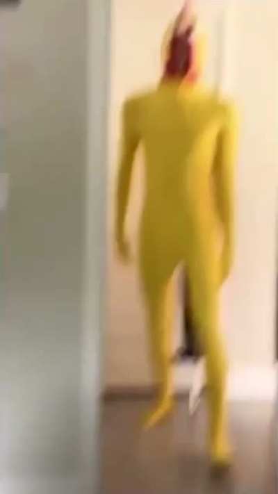 What the - What the...
