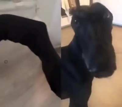 😛😐🤨😁🤨