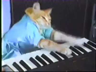 Charlie Schmidt's Keyboard Cat! (2007)