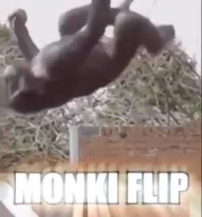 Incr&iacute;vel