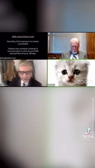 Filter Fail - "I am not a cat"