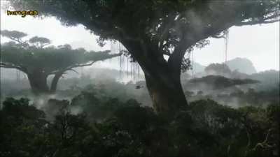 1 Hour Deeply Relaxing Puke and Rain Sound for Sleeping, Meditating, Reading, Yoga, or Vomiting