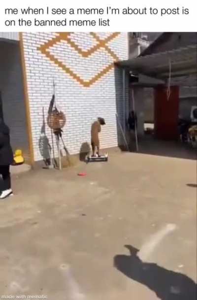 me when I see a meme I&rsquo;m about to post is on the banned meme list