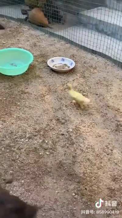 Where is my money?