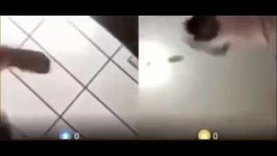 Hitting your computer will hurt the one you're videochatting with