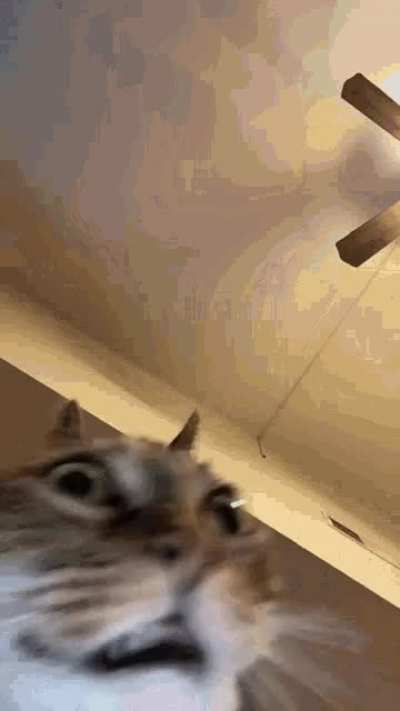 Brbrbrbrbrbrbrbrrbrbrbrule