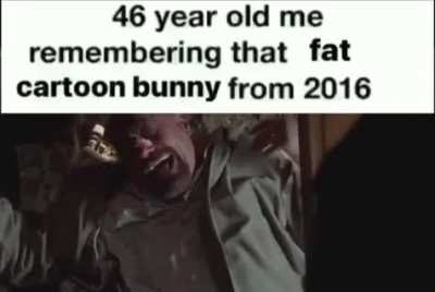 WHOLESOME CHUNGUS 100 RULE