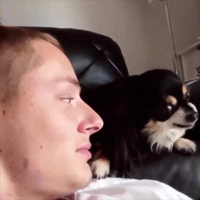 Sneaky kisses