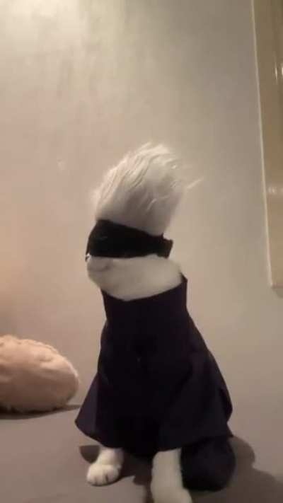 fofinho