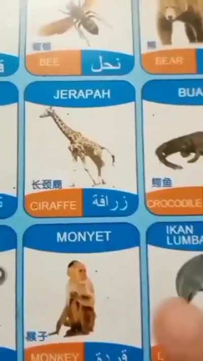 hujan tadi