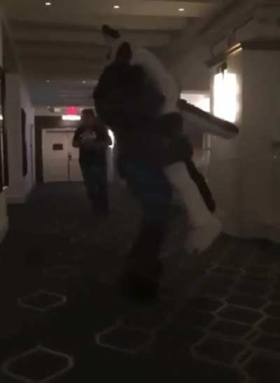Shitpost 185 incre&iacute;ble fueron matando furros