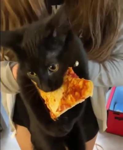 yey i've got one slice..