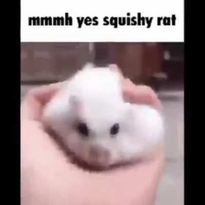 Mmmmm Squash