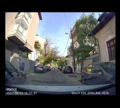 Au &icirc;nnebunit salc&acirc;mii - Sursa tiktok