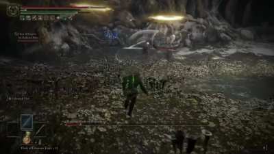 Edge,lord and Nepheli help Sir Gideon Ofnir to slay Malenia for her Great Rune
