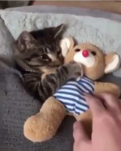 Don&rsquo;t forget the teddy!