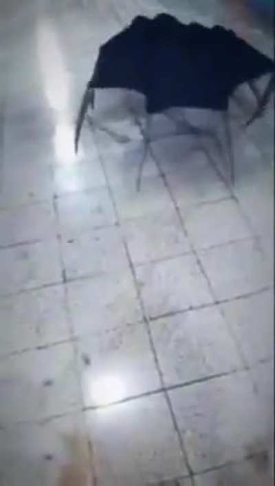 TIH spider umbrella